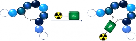 Modification of octreotide via disulfide rebridging