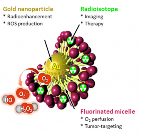 Nanomicellar system for imaging and targeted radiosensitization