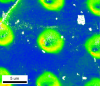 GND (Grain Necessary Dislocations) EBSD map
