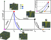 Multiscale Hybrid Modeling of Materials